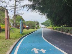 -大湾区中央湿地公园
