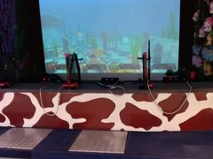 -万达宝贝王成长乐园(重庆永川店)