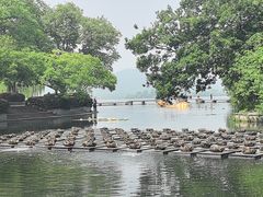 -西湖天地
