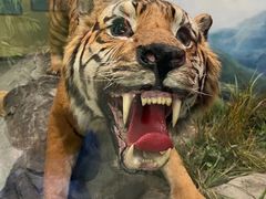 -国家自然博物馆