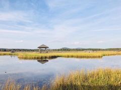 -塞罕坝国家级自然保护区