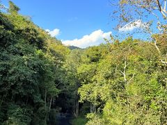 -野象谷景区
