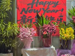 -溪岸路花鸟市场