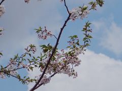 -蓝天路(地铁站)