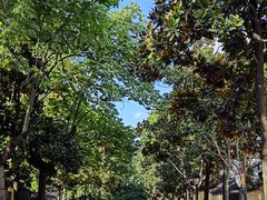 -颐和路民国时期公馆风貌区