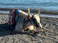 -青海湖国家重点风景名胜区