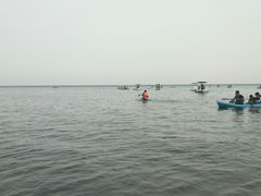 -碧海金沙