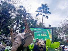 -海南热带野生动植物园