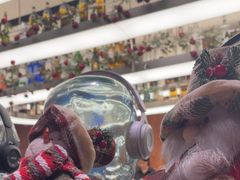 -Nord Grill&Bar Highland诺德西餐(深圳欢乐海岸店)