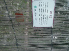android_upload_pic-北海金海湾红树林生态旅游区