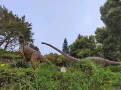 -自贡恐龙博物馆