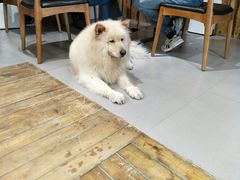 -肆兮眼镜·蔡司·徕卡战略合作店(大坪店)