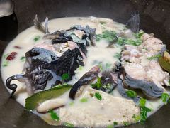 -鲜潭蒸汽石锅鱼(五道口购物中心店)