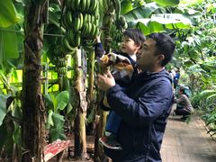 -呀路古热带植物园