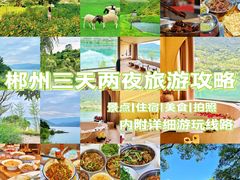 -仰天湖大草原
