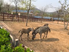 -石家庄市动物园