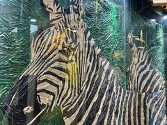 -杨梅红艺术教育(万象城校区)