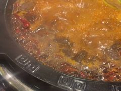 -一斗火锅·招财羊毛肚(上河城店)