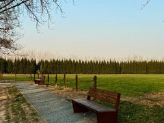 -汉长安城未央宫国家考古遗址公园