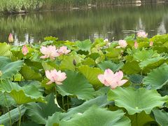 -江苏三台山国家森林公园