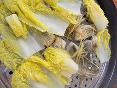 娃娃菜-船奇蒸汽海鲜·闽菜(八市海鲜总店)