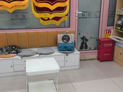 -全心全意连锁动物医院·微创中心·内科急重症·心脏专科(丰管路店)