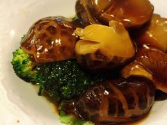 -翠华餐厅(旺角文华商场店)