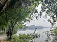 -东湖落雁景区