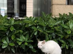 -中海环宇荟