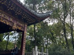 -汇龙潭