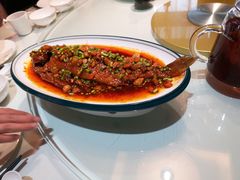-八珍饺子·烤鸭·家常菜