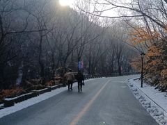 -丹东凤凰山景区