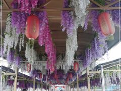 -仙海旅游度假区