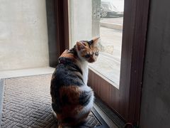 -Again Coffee Roaster(香蜜湖店)