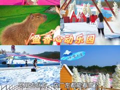 -盈香心动乐园