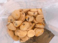 奶香提子酥-鲍师傅糕点(台东步行街店)