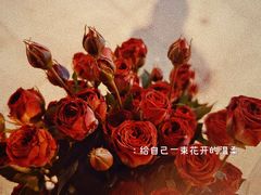 -溪岸路花鸟市场