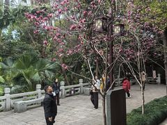 -乌山风景区