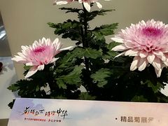-汇龙潭