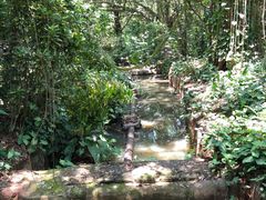 -海南热带野生动植物园