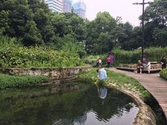 -成都市活水公园