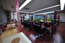 iphone_upload_pic-小左美发