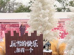 -盈香心动乐园