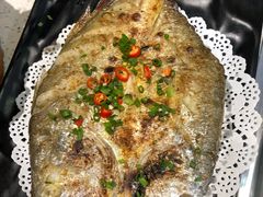 -九府羊·鲜羊火锅·烤串(新华路店)