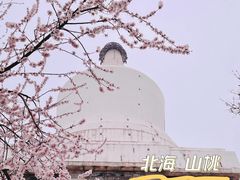 -国家植物园