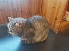 -天使咖啡(兴新街店)