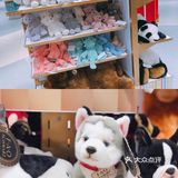 北京遛娃！[加油]百年玩具老店F•A•O•Schwarz！