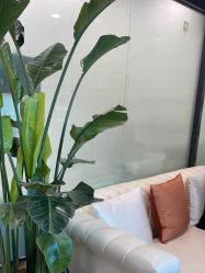 -洁铭新加坡医美