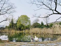 -白马涧龙池景区