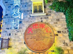 -莫愁村问君老酸奶